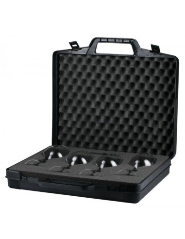 VDGLASS Wine tasting Set, 1 Carrying Case, 4 glasses, 1 Corkscrew