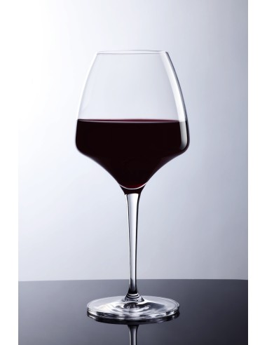 VdGlass SkyOne 55 cl – Calice universale per vino e spumanti