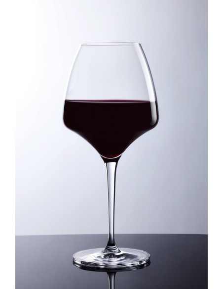 VdGlass SkyOne 55 cl – Calice universale per vino e spumanti