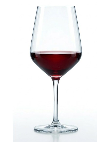 Verre à vin Rastal Bar 50 cl résistant