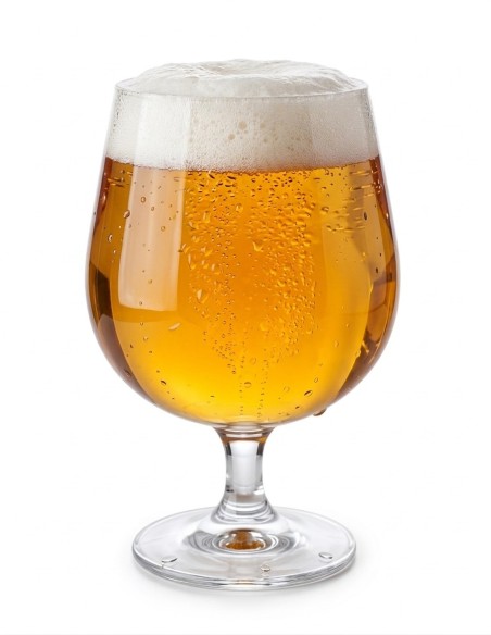 Bierglas Tritan 52cl Transparent | Bruchsicher & Elegant
