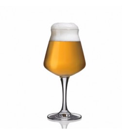 Rastal, Teku 3.0 beer glass