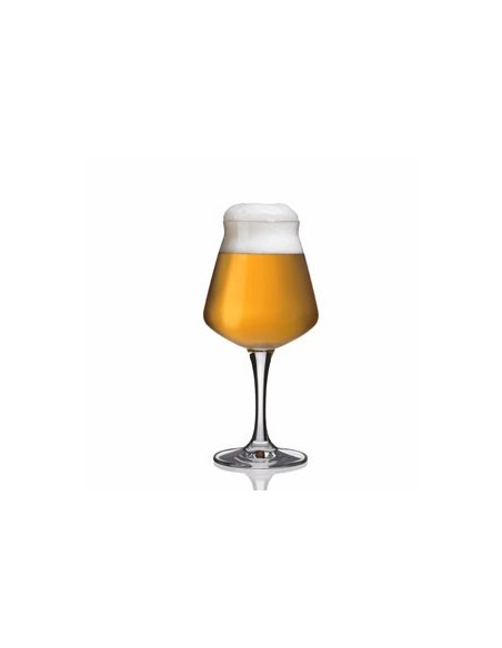 Verres de dégustation de bière 42,5 cl Teku Rastal