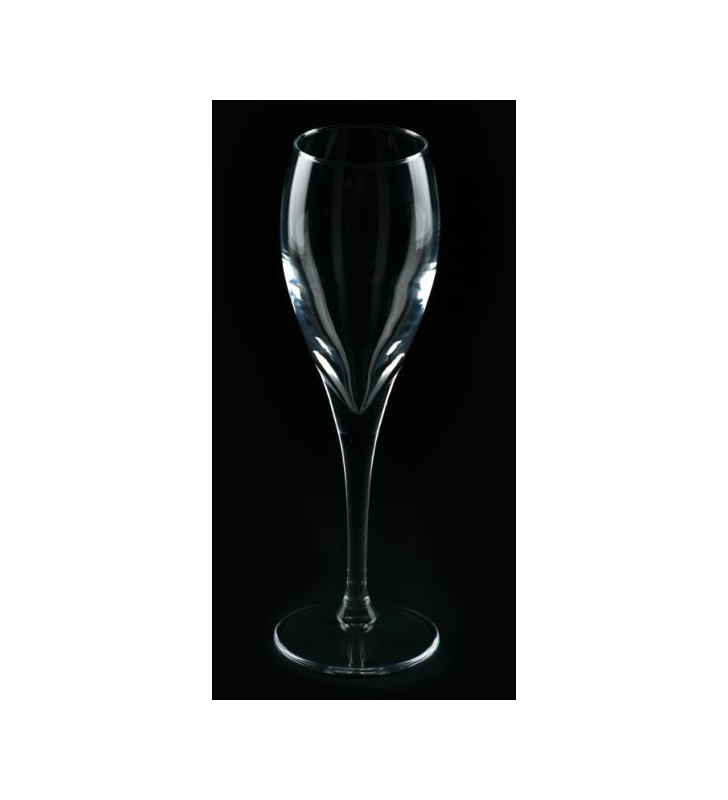 Flute Champagne Plastique Cristal 14cl-10