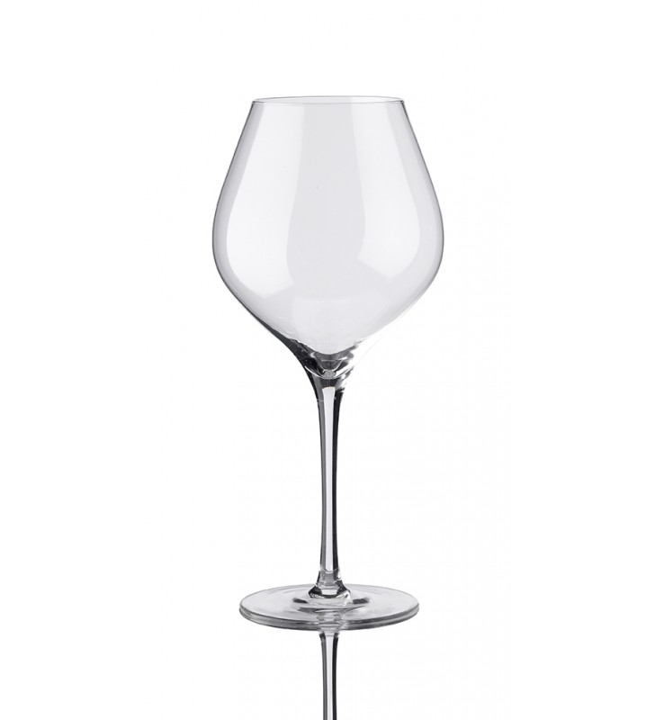 Vdglass Suite Universal Wine Glasses cl 54, crystal