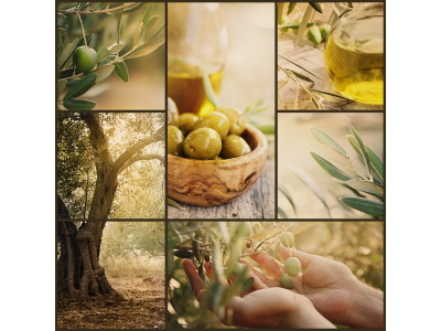 Degustazione olio: analisi visiva e olfattiva 