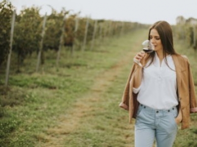 Organize a tasting event at the time of the covid